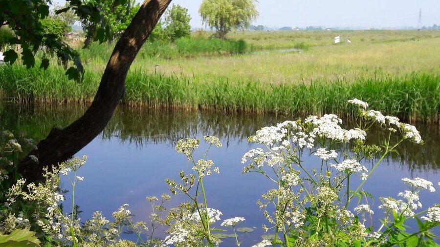 Amsterdam: Dutch Countryside Sunset Canoe Tour - Price and value at $92: what you’re really paying for