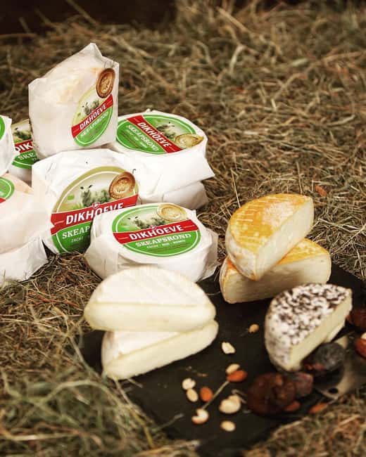 Amsterdam: E-Bike, Cheese, Windmill & Countryside Tour - Who Should Book This E-Bike Cheese and Countryside Tour