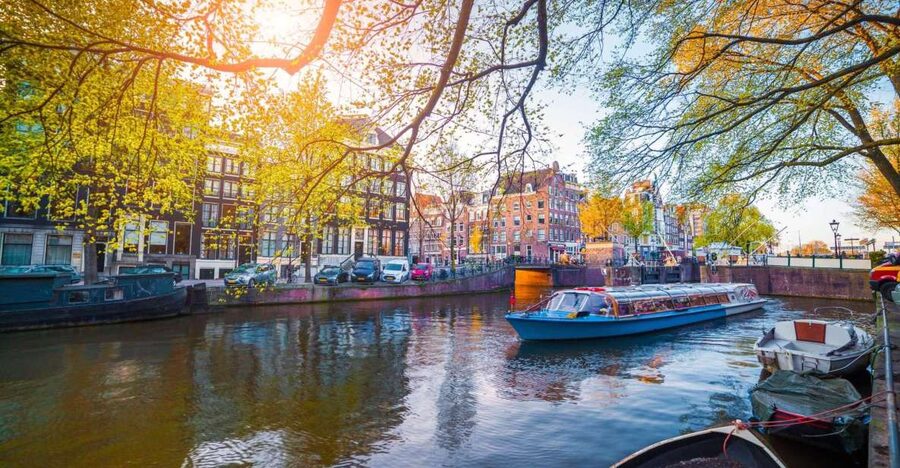 Amsterdam Family Friendly Historical Walking Tour - Dam Square and the Royal Palace Area: Monarch Stories That Feel Concrete