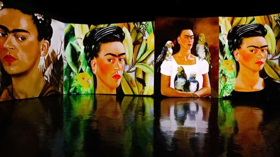 Amsterdam: Frida Kahlo Immersive & Photo Exhibition - Key points you’ll actually care about