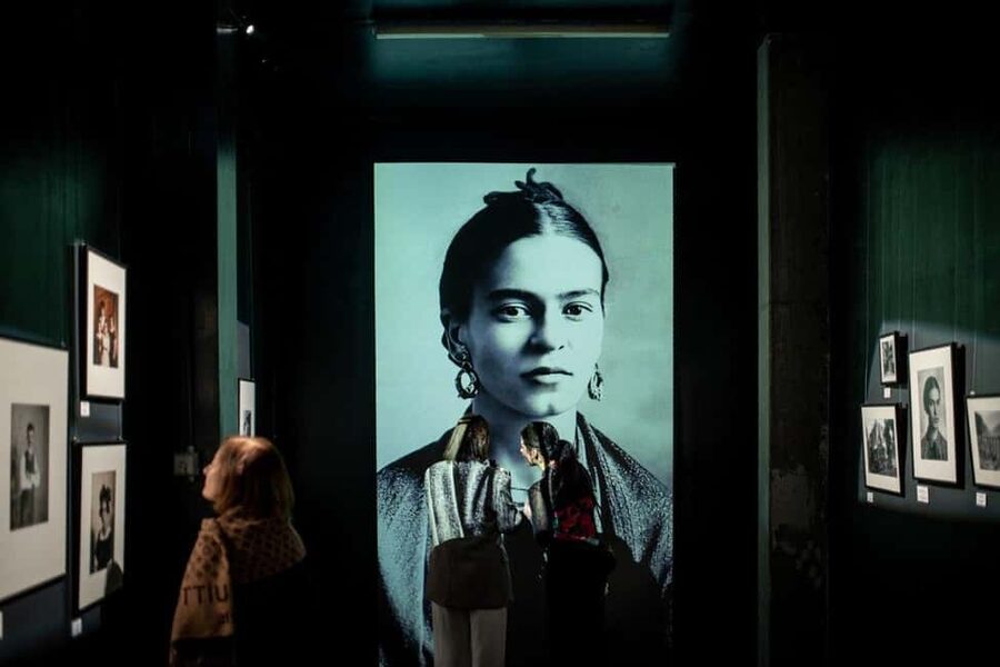 Amsterdam: Frida Kahlo Immersive & Photo Exhibition - Seeing Frida’s most famous works through interpretation