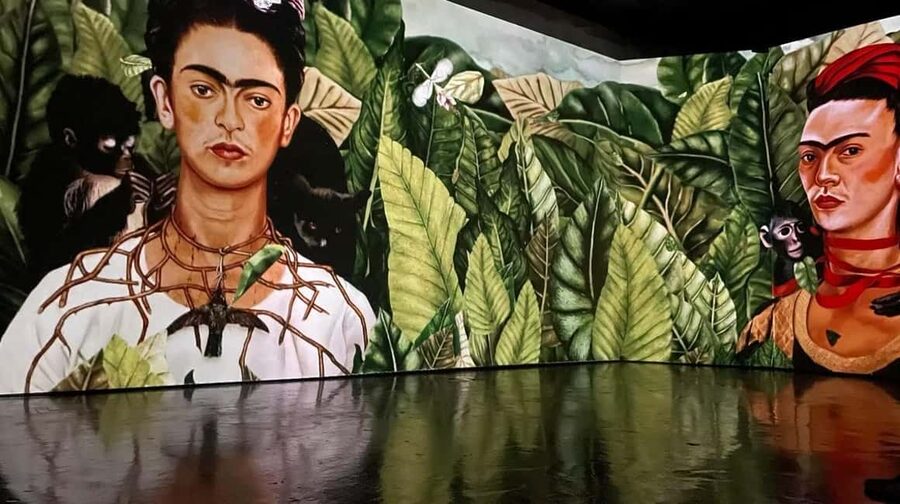 Amsterdam: Frida Kahlo Immersive & Photo Exhibition - What the ticket includes before you even start