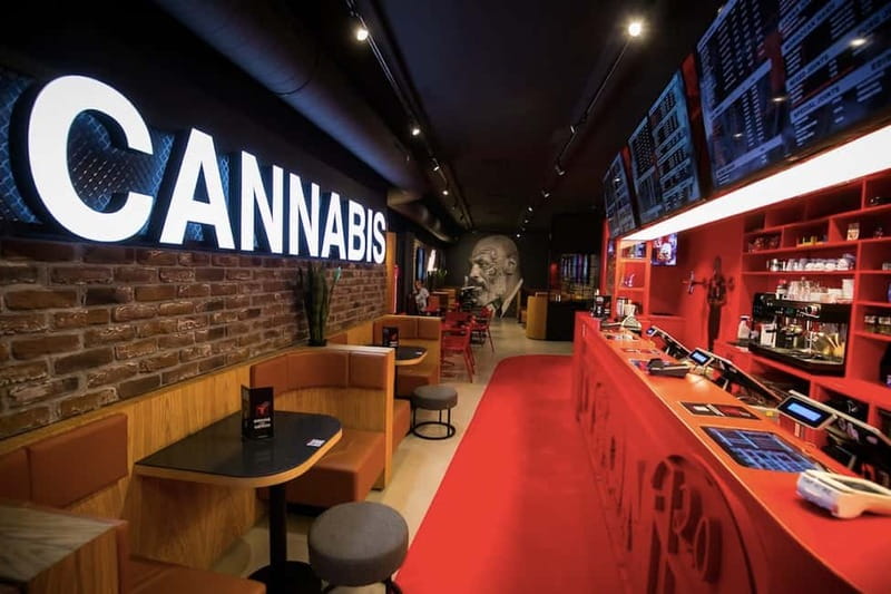 Amsterdam: Ganja Walking Tour - First day, best day: getting your bearings fast