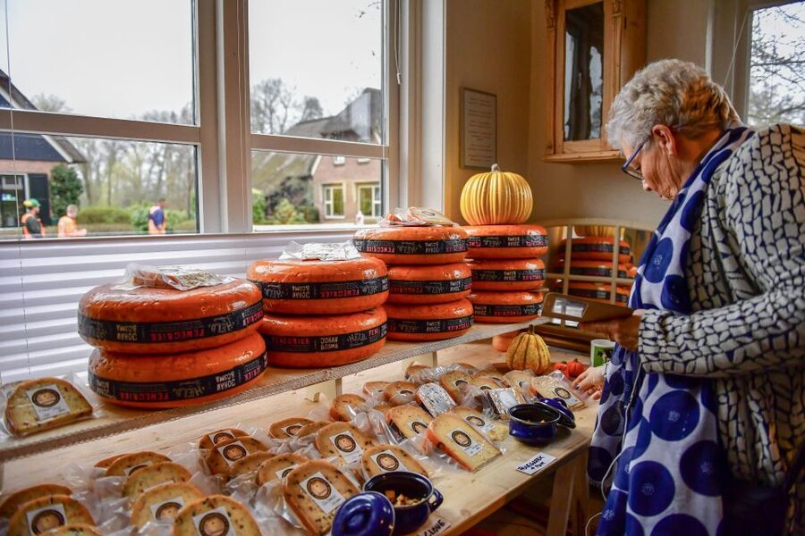 Amsterdam: Giethoorn and Zaanse Schans Windmills Day Tour - The craft-and-food stops: clogs, cheese, and small Dutch treats that add up