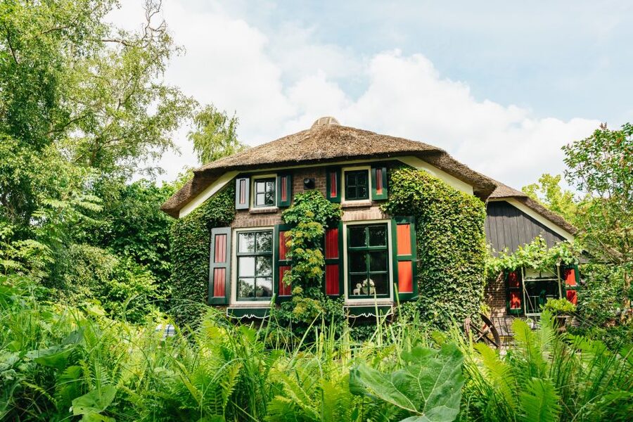Amsterdam: Giethoorn, Zaandam & Zaanse Schans Tour w/ Pickup - Cheese Farm Catharina Hoeve: Taste, Watch, Learn