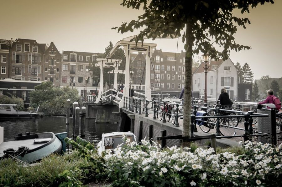 Amsterdam: Guided City Bike Tour in French - Where you start: IJdok 47 and the quick mental shift