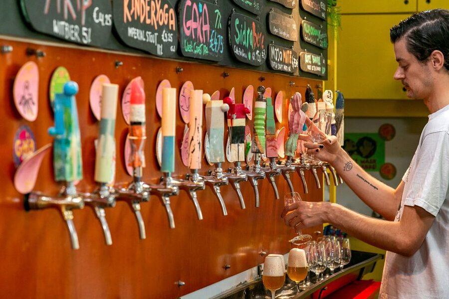 Amsterdam: Guided Craft Beer Brewery Bus Tour with Tastings - Who Should Book This Tour (and Who Might Skip)