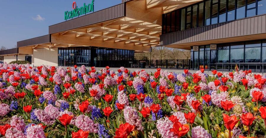 Amsterdam: Half-Day Flower Fields and Keukenhof Bicycle Tour - Getting Started at Amsterdam Central Station (and Why It Matters)
