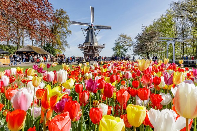 Amsterdam: Half Day Guided Keukenhof Tulip Garden Tour - Should You Book? My Honest Fit Guide