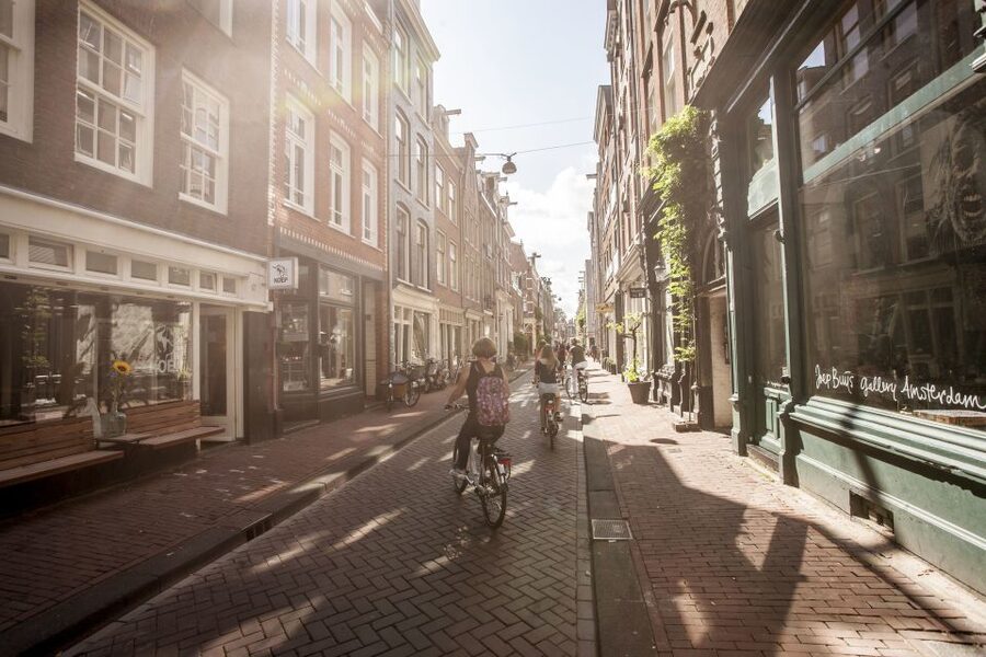 Amsterdam: Hidden Gems & Highlights Guided Bike Tour - Vondelpark by bike: the city’s green pressure-release valve