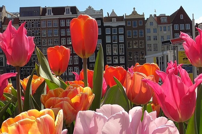 Amsterdam Highlights and Hidden Gems Walking Tour with Fun Guide - Walking by the Anne Frank House: what to expect and how to handle it