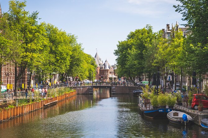Amsterdam Highlights Small-Group Walking Tour - Begijnhof Gardens at Spui Square: A Quiet Courtyard Reset