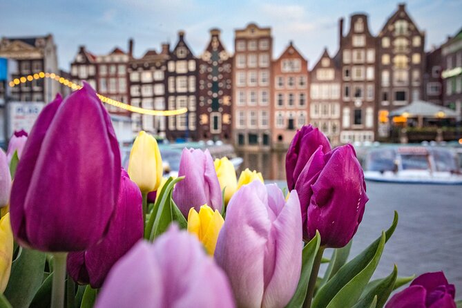 Amsterdam Highlights Walking Tour - Why This Walk Works: Big Sights, Short Distance