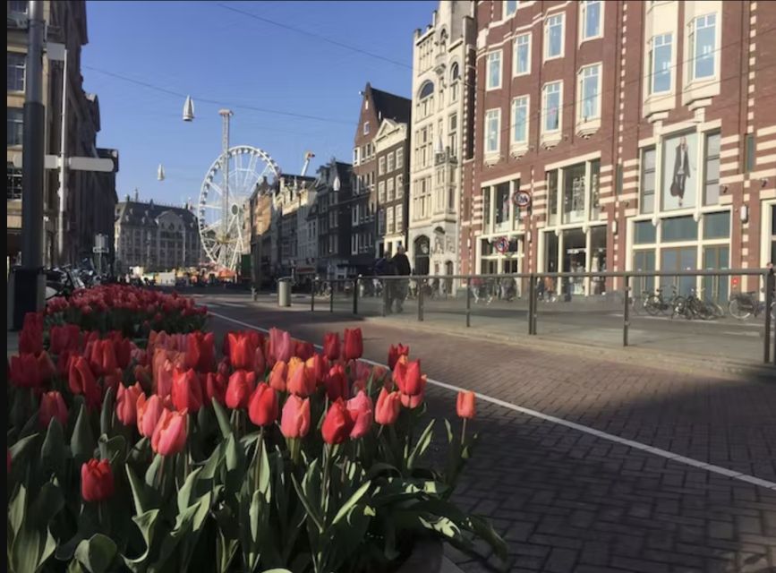 Amsterdam: History, Culture & Hidden Gems Walking Tour - Canal-side power: the Dutch East India Company and the Golden Age
