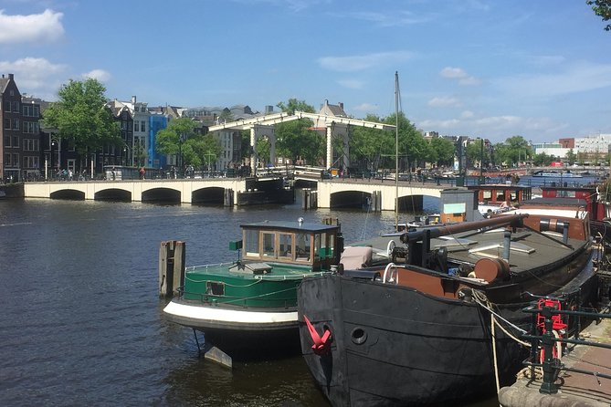 Amsterdam in a Nutshell 4 Hour Private Car Tour and Amsterdam Born Private Guide - Amsterdam by private car: why this format feels smarter