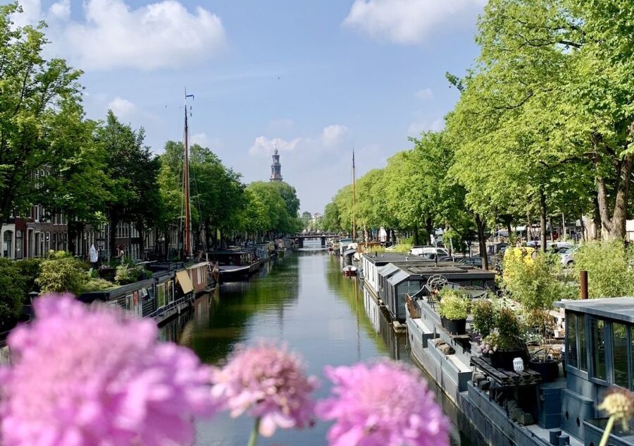 Amsterdam: Jordaan District Tour with a German guide - The Jordaan transformation: working-class roots to desirable streets
