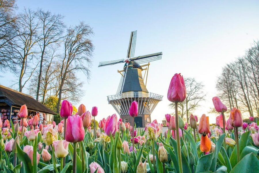 Amsterdam: Keukenhof and Zaanse Schans Live Guided Day Tour - Meeting at Amsterdam Central: Where to Start and How to Not Stress