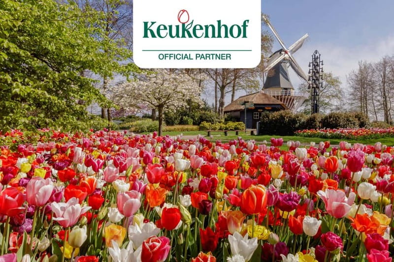 Amsterdam: Keukenhof Entry & Shuttlebus with Flexible Return - Key things to know before you go