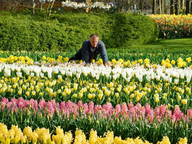 Amsterdam: Keukenhof Entry & Shuttlebus with Flexible Return - Amsterdam Check-In at This Is Holland: Fast Ticket Exchange