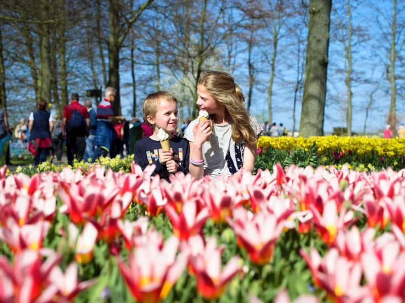 Amsterdam: Keukenhof Entry & Shuttlebus with Flexible Return - Entering Keukenhof Gardens: Your Self-Paced Tulip Day
