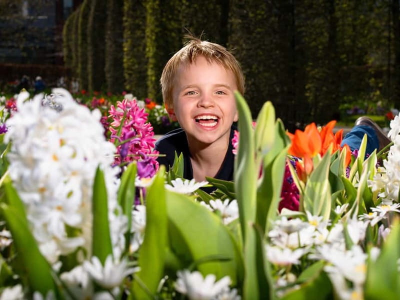 Amsterdam: Keukenhof Entry & Shuttlebus with Flexible Return - Flexible Return to Amsterdam: Buses Every 30 Minutes