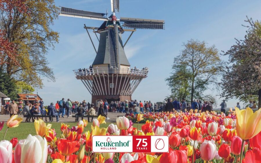 Amsterdam: Keukenhof Entry & Shuttlebus with Flexible Return - What You’re Really Paying $41 For: Value vs. DIY