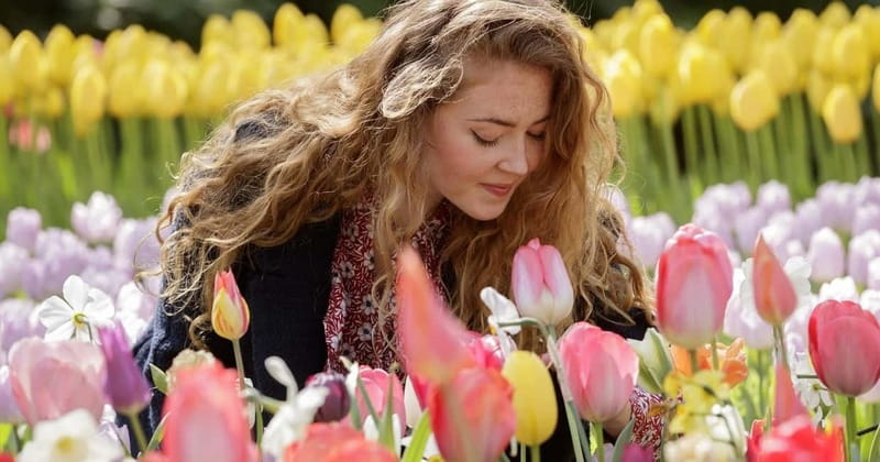 Amsterdam: Keukenhof Entry & Shuttlebus with Flexible Return - Practical Tips for a Better Keukenhof Day