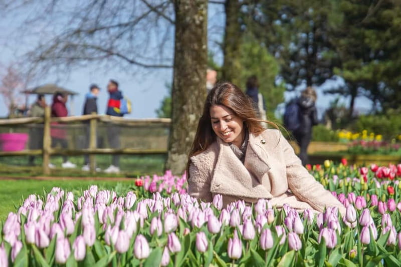 Amsterdam: Keukenhof Entry & Shuttlebus with Flexible Return - Should You Book This Keukenhof Shuttle Day Trip?