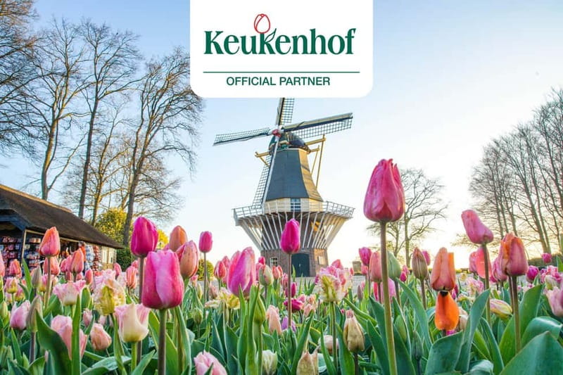 Amsterdam: Keukenhof Entry & Shuttlebus with Flexible Return - The Luxury Shuttle to Keukenhof: How the 35–50 Minutes Works