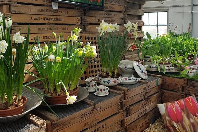 Amsterdam : Keukenhof FlowerFarm Privatetour Skip-The-Line ticket - What the private guide adds (and why it shows up in the reviews)