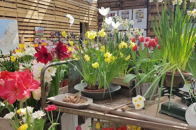 Amsterdam : Keukenhof FlowerFarm Privatetour Skip-The-Line ticket - Timing tips for peak bloom and calmer walking