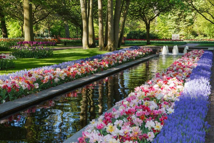 Amsterdam: Keukenhof Gardens Guided Tour Spanish and English - Arriving at the “Garden of Europe”: How the Park Layout Helps