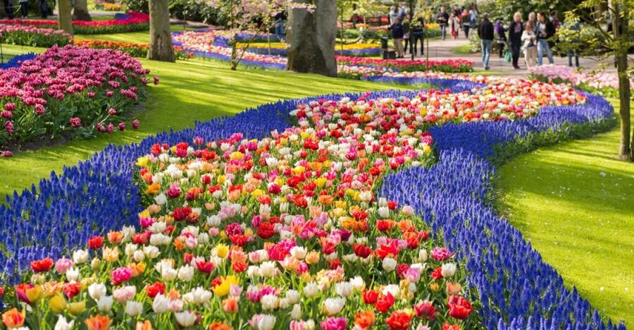 Amsterdam: Keukenhof Gardens Guided Tour Spanish and English - Buying Bulbs and Seeds: The Most Practical Souvenir