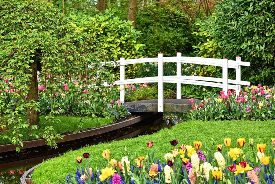 Amsterdam: Keukenhof Gardens Private Sightseeing Tour - Price and logistics: when $303 per person feels like a smart buy