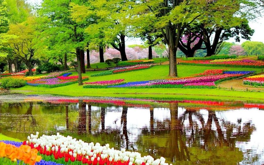 Amsterdam: Keukenhof Gardens Private Sightseeing Tour - Keukenhof Gardens in Lisse: millions of blooms plus weekly flower themes