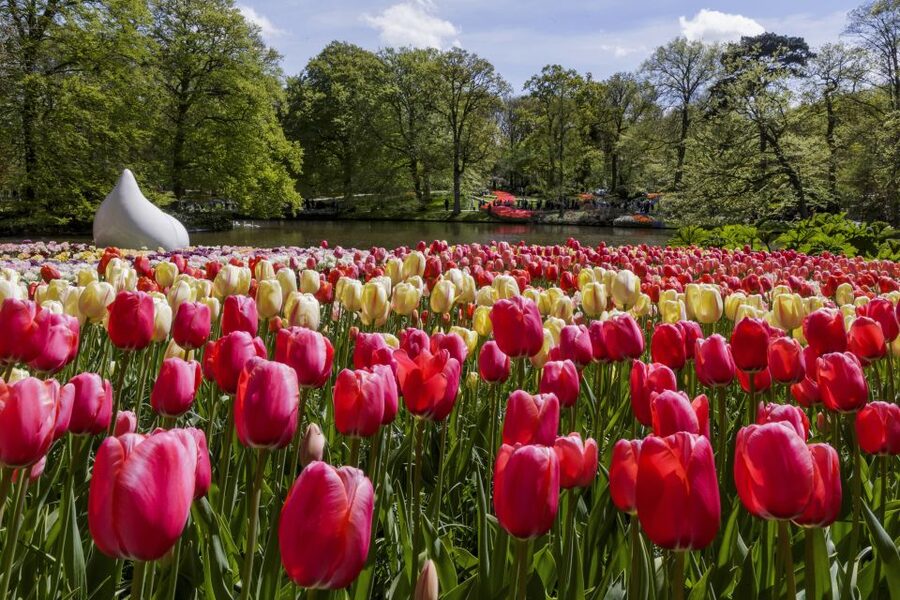 Amsterdam: Keukenhof Ticket with Shuttle Bus + Canal Cruise - Timing That Actually Works: Bus Windows and Cruise Flexibility