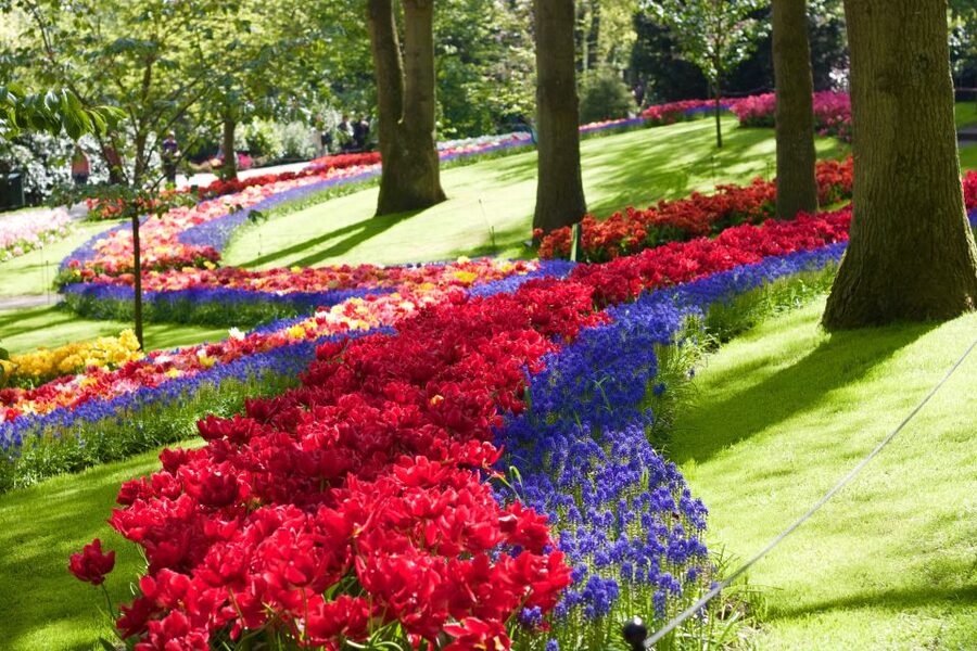 Amsterdam: Keukenhof Ticket with Shuttle Bus + Canal Cruise - Who This Combo Fits Best (and Who Should Skip It)