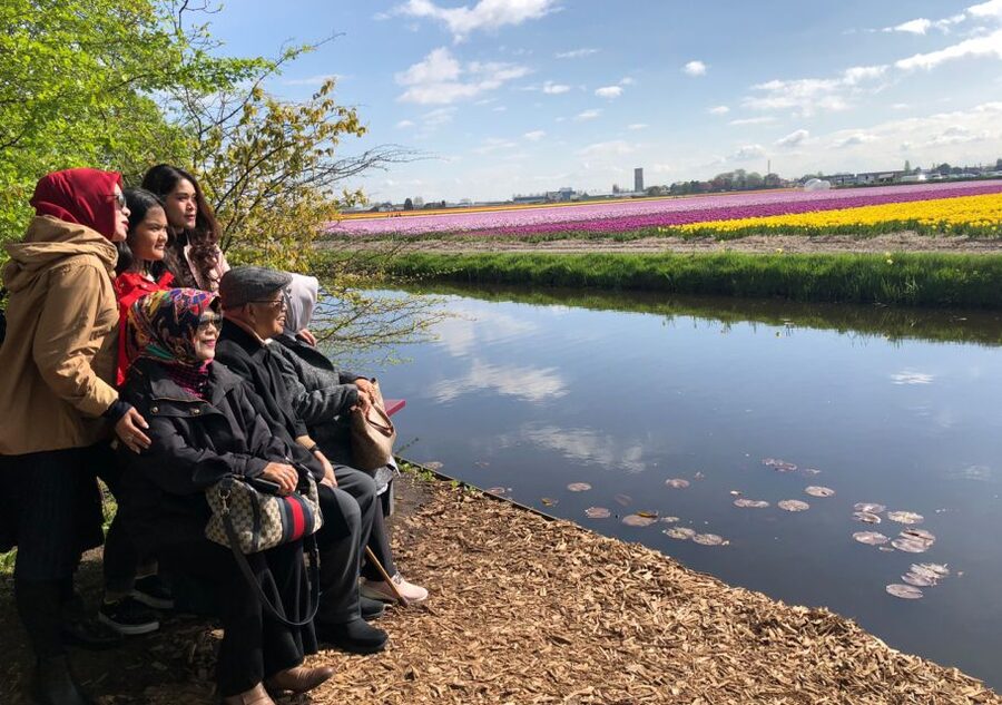 Amsterdam: Keukenhof Tulip Garden and Giethoorn Experience - The Photo-Ready Windmill Views and Garden Wandering