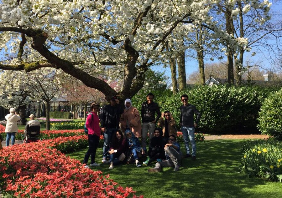 Amsterdam: Keukenhof Tulip Garden and Giethoorn Experience - Weather, Comfort, and Photo Planning That Actually Helps
