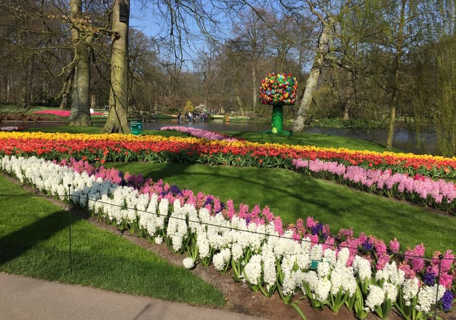 Amsterdam: Keukenhof Tulip Garden and Giethoorn Experience - Keukenhof Tulip Garden: More Than a Pretty Photo Stop