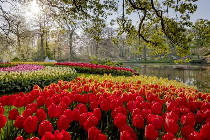 Amsterdam: Keukenhof, Zaanse Schans & Volendam Tour - Cheese Factory Volendam: What You Get Beyond the Photo