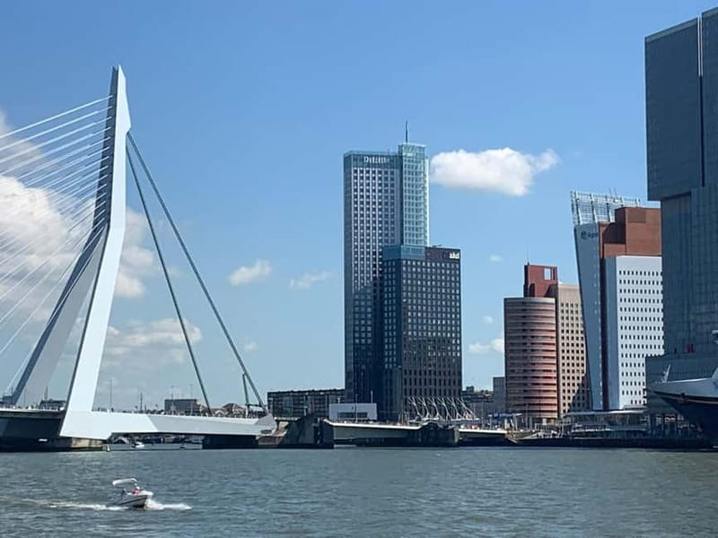 Amsterdam: Kinderdijk, Euromast, Delft and Den Haag Day Tour - Timing and travel: what the 8.5 hours really feels like