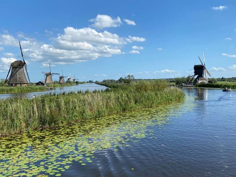 Amsterdam: Kinderdijk, Euromast, Delft and Den Haag Day Tour - Price and value: is $152 worth this route?