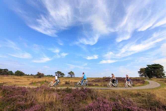 Amsterdam: Kröller Müller Museum and Hoge Veluwe NP Private Tour - Price and Value: What You’re Really Paying For