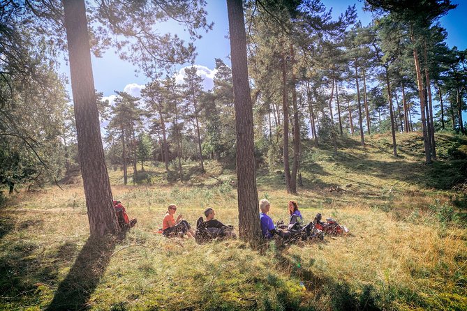 Amsterdam: Kröller Müller Museum and Hoge Veluwe NP Private Tour - Who This Tour Fits Best (and Who Might Prefer Otherwise)