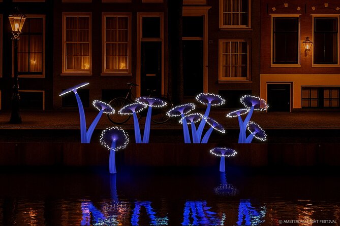 Amsterdam: Light Festival Boat with Unlimited Drinks & Snack - Herengracht and Haarlemmer Sluis: The City’s Canal Logic