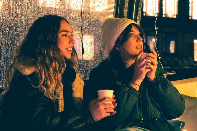 Amsterdam: Light Festival Cruise with Unlimited Drinks Option - Why This Amsterdam Light Festival Cruise Works in Winter
