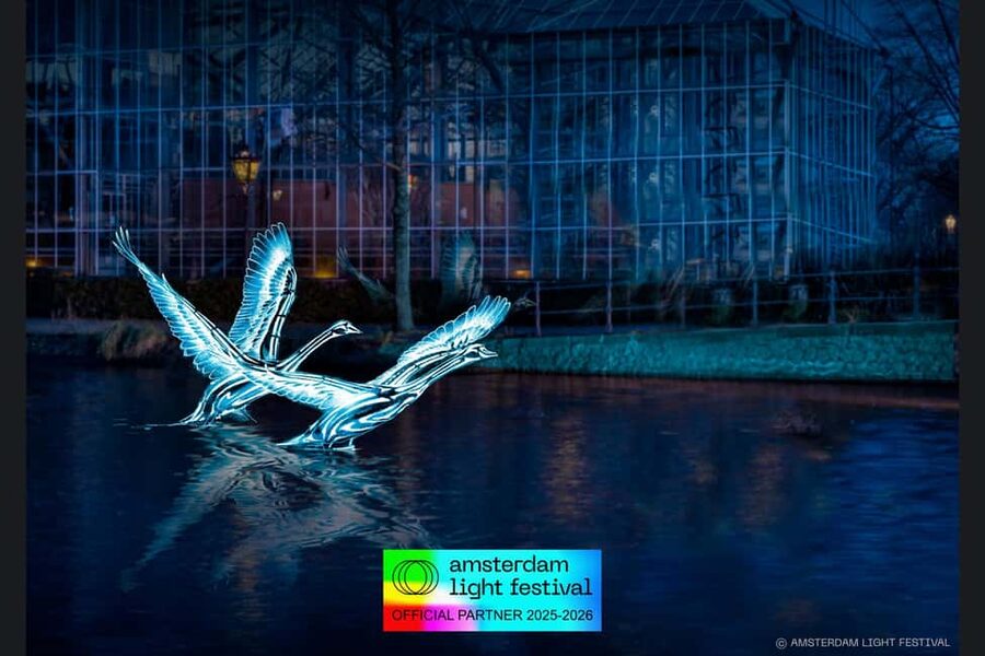 Amsterdam: Light Festival Heated Cruise + Hot Choco + Snack - Should you book this Amsterdam Light Festival Heated Cruise?