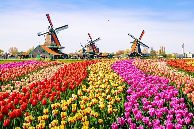 Amsterdam Pass: 45+ Things To Do - Includes Rijksmuseum - Getting around on your terms: bikes from multiple pickup spots