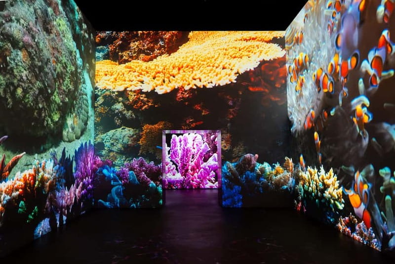 Amsterdam: Prehistoric Planet Immersive Experience Ticket - Key things to know before you go